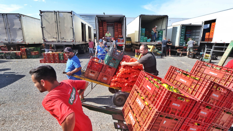 Dois homens puxam carrinhos carregados de caixas com produtos. Dois homens observam e, ao fundo, vários caminhões estacionados estão sendo descarregados