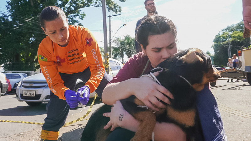 Voluntários de resgate ou de abrigos de animais devem se prevenir contra a raiva