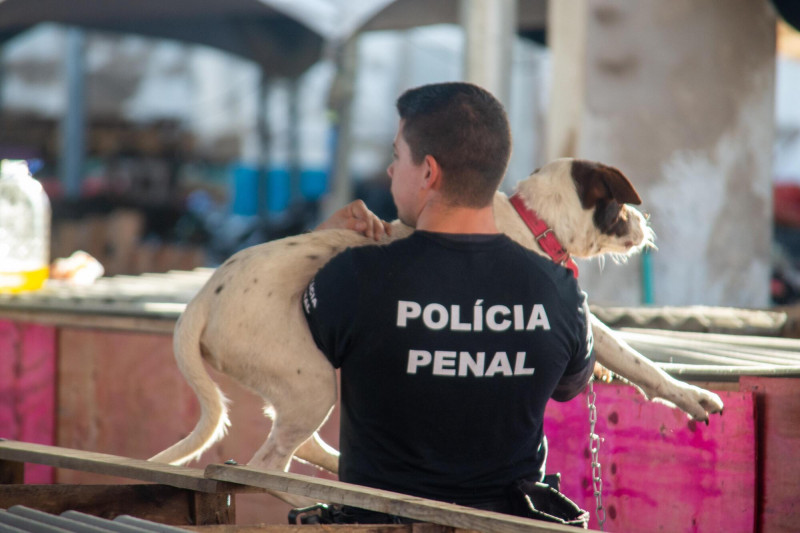 Policia penal na limpeza e organização de abrigo de cães em Canoas (1)