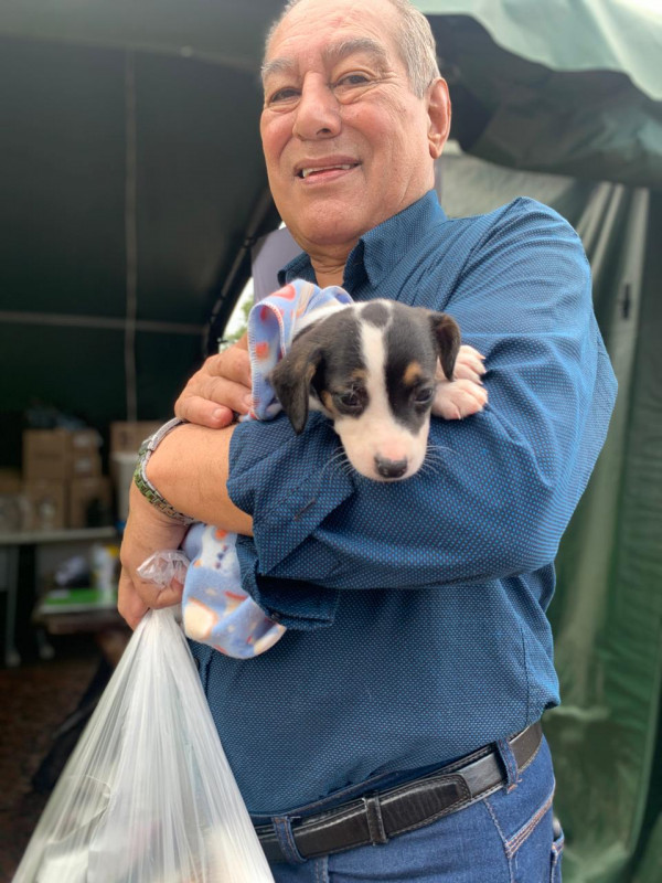 Lupi terá um irmãozinho na nova família