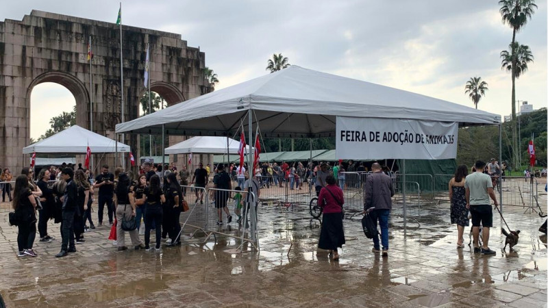 Saldo positivo nos dois dias de feira. No total, 202 animais receberam novo lar