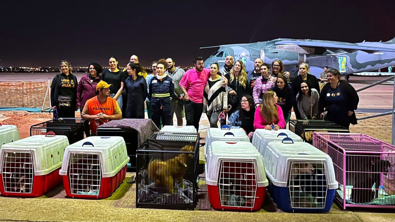 Foto posada. Diversas pessoas reunidas atrás de várias caixas de transporte para animais. Atrás das pessoas um avião pode ser visto.