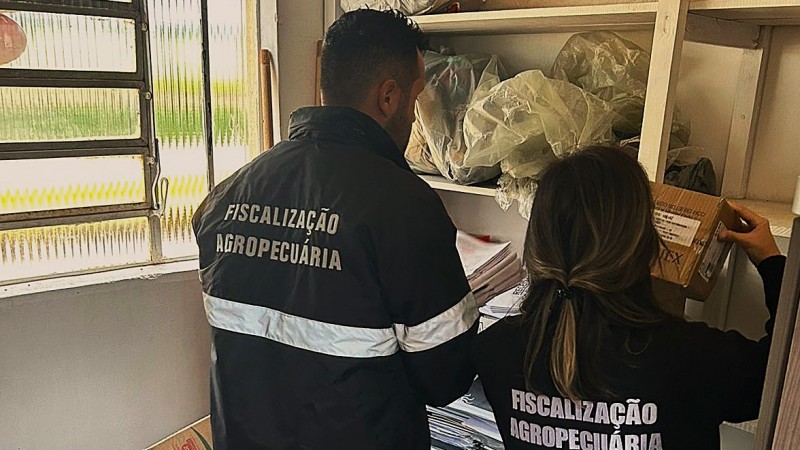 Dois agentes de fiscalização agropecuária de costas inspecionando documentos e objetos que estão em uma estante na frente deles.