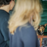 Todos os bichinhos colocados para adoção são castrados, microchipados, vacinados e desvermifugados.