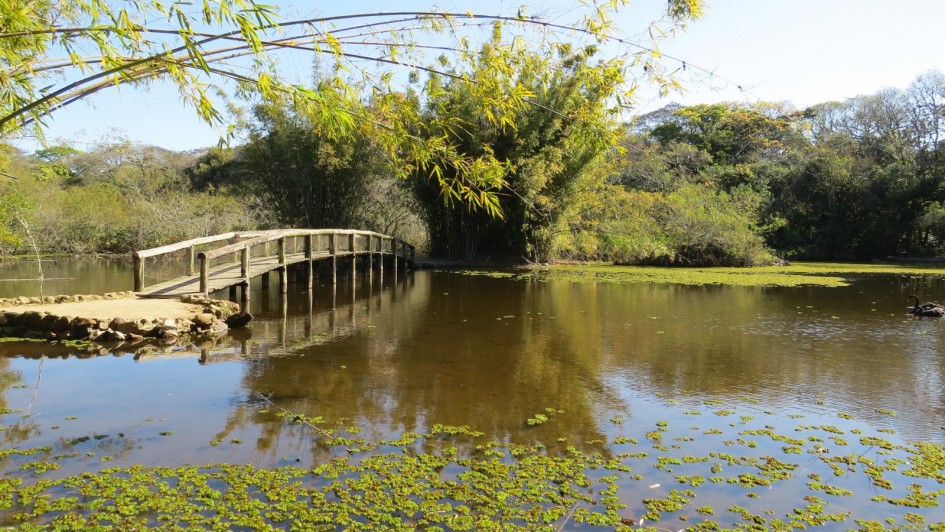 Jardim Botânico de POA