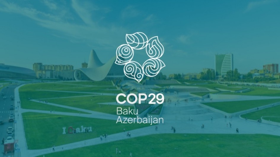 Card da COP29 2024