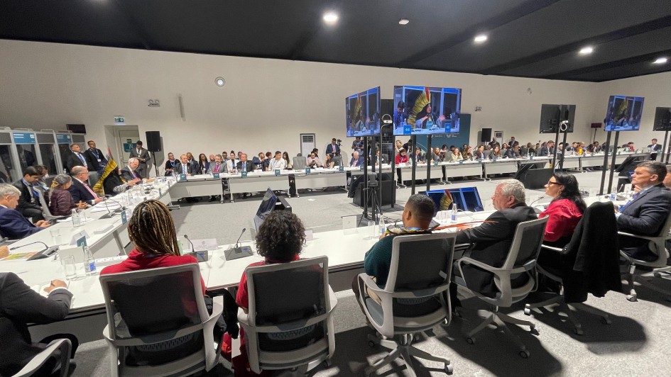 Reunião com vice presidência do Brasil marca primeiro dia do RS na COP29 em Baku