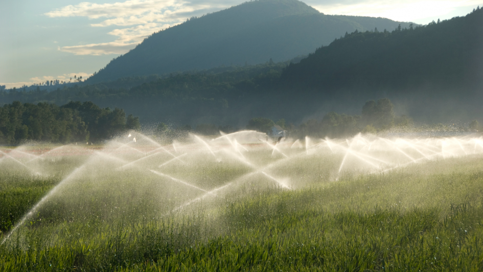 Projetos de irrigação para lavouras contra a estiagem