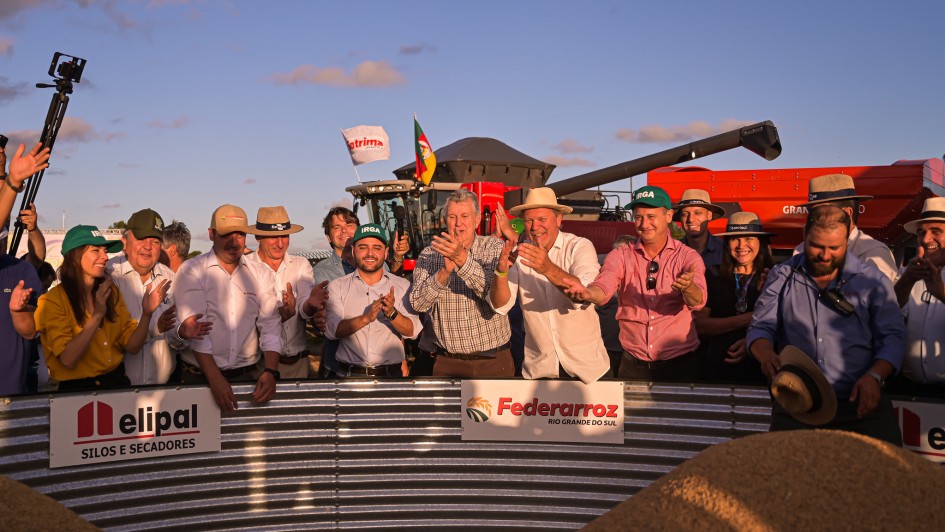 colheita arroz 2025