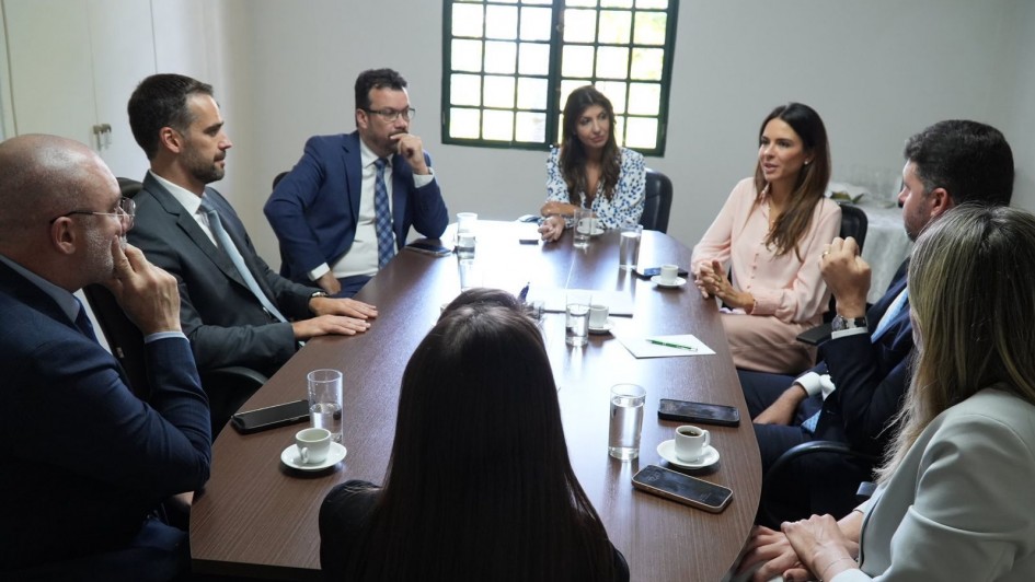 Leite intensifica articulações em Brasília por medidas em apoio ao agro gaúcho