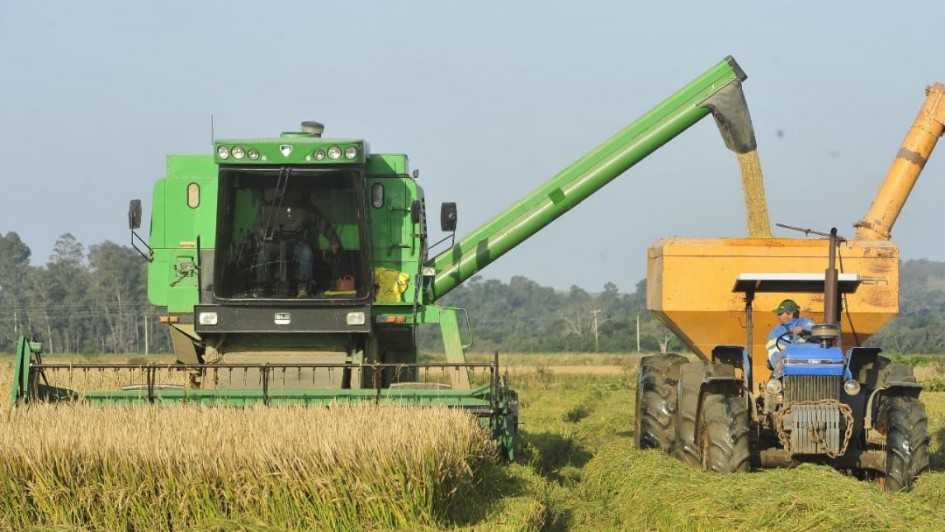 Cena de colheita agr&iacute;cola em uma lavoura. &Agrave; esquerda, h&aacute; uma colheitadeira verde em funcionamento, cortando o arroz maduro. Um tubo longo sai da colheitadeira e despeja os gr&atilde;os em uma carreta laranja acoplada a um trator azul, que est&aacute; &agrave; direita. Um trabalhador dirige o trator, e ao fundo h&aacute; &aacute;rvores e c&eacute;u claro. O ch&atilde;o est&aacute; coberto de arroz rec&eacute;m-cortado, indicando atividade intensa de colheita.
