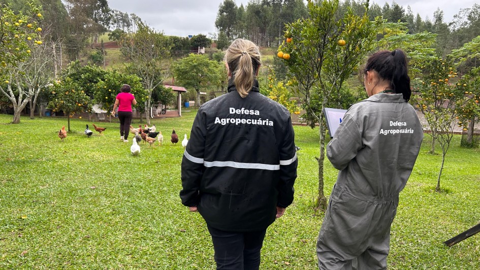 Vistorias da Seapi