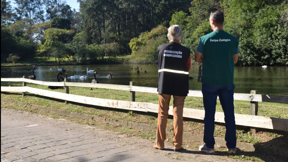Foto de duas pessoas de costas, observando um lago em um parque arborizado. À esquerda, uma delas veste um colete preto com a inscrição “Fiscalização Agropecuária”. À direita, a outra pessoa usa um colete verde com a inscrição “Parque Zoológico”. No lago à frente, há diversos cisnes, incluindo alguns de pescoço preto. O ambiente é ensolarado e cercado por árvores altas e vegetação abundante. Uma cerca de madeira delimita a área próxima ao lago.