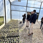 Cinco pessoas estão dentro de uma estufa agrícola, observando diversas mudas de plantas organizadas em bandejas sobre uma mesa longa. O ambiente é iluminado pela luz natural que entra pelas paredes e teto de plástico transparente da estufa. As pessoas estão vestidas com roupas de frio, sugerindo clima ameno ou frio. No chão, há pedrinhas espalhadas. Ao fundo, uma área externa gramada é parcialmente visível através da estrutura plástica da estufa.