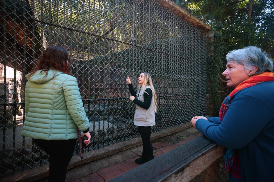 A foto mostra três mulheres em frente a uma grande jaula ou recinto com grade de metal em um ambiente externo do zoológico. À esquerda, uma mulher de costas veste uma jaqueta verde claro e calças pretas. No centro, uma mulher com cabelos longos e loiros, vestindo um colete bege sobre uma blusa preta e calças pretas, está apontando para algo dentro do recinto. À direita, uma mulher mais velha com cabelos grisalhos curtos, vestindo um casaco azul e um lenço colorido, está olhando para a mulher loira. A jaula ao fundo parece abrigar um espaço rochoso e vegetação rala. A luz natural sugere que é dia e há árvores com folhas ao redor do recinto.