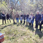 A imagem mostra um grupo de aproximadamente 17 pessoas reunidas em um ambiente ao ar livre, em uma área de vegetação com árvores e grama. O grupo está disposto em semicírculo, observando atentamente um homem à esquerda da imagem que parece estar conduzindo uma demonstração ou treinamento. Ele usa capacete branco, camisa verde, calça clara e botas de borracha. À sua frente há galhos de árvore no chão, uma caixa térmica vermelha e alguns papéis enrolados, sugerindo que a atividade está relacionada ao manejo de vegetação ou reflorestamento.

As pessoas observadoras estão vestidas de forma casual e usam botas apropriadas para trilhas ou atividades rurais. Algumas seguram garrafas ou cuias com chimarrão. O ambiente é ensolarado, com sombras projetadas pelas árvores. Ao fundo, há uma mata mais densa. A cena transmite um momento de aprendizado ou capacitação em campo, possivelmente sobre práticas ambientais ou agrícolas.