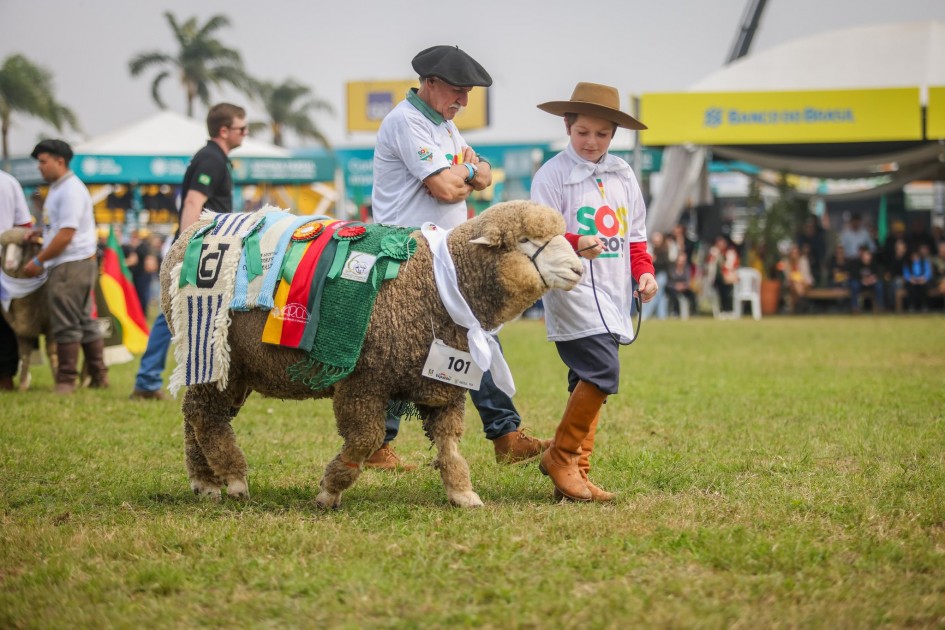 Desfile dos campões da Expointer 2024 29 8 25