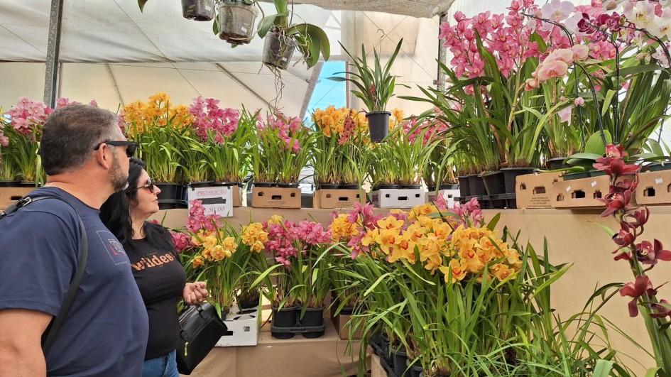 Um casal está posicionado ao lado esquerdo da imagem, olhando para uma grande quantidade de flores expostas no estande.