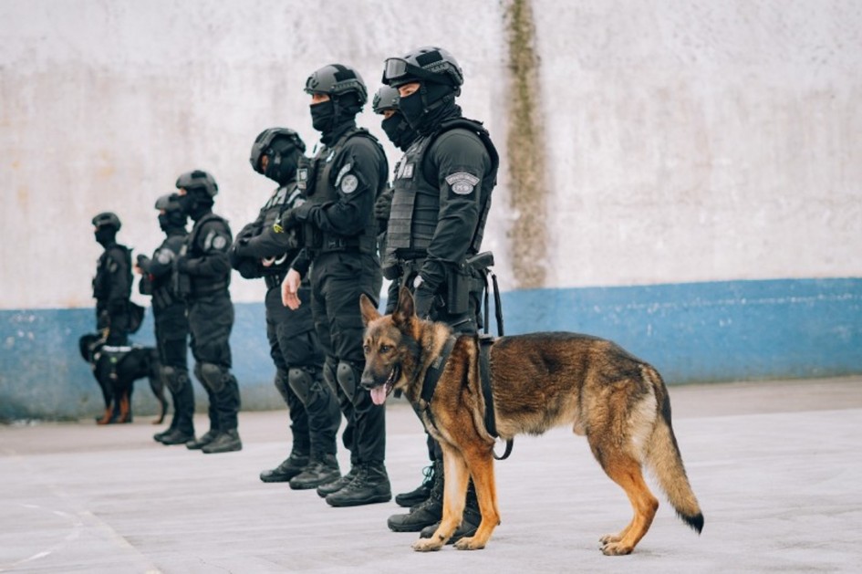 Foto mostra policiais penais, de uniforme preto, capacete e preto que cobre todo o rosto. Eles estão perfilados em linha. O primeiro policial está segurando um cão da raça pastor alemão, na guia. Eles estão no pátio de uma unidade prisional, com parede branca com uma faixa azul claro.