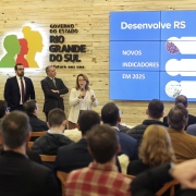 Foto mostra apresentação para uma plateia, que está de costas. Uma mulher, com casaco bege, segura o microfone e fala aos presentes. Três homens de terno estão ao seu lado. Há uma tela grande com imagem de fundo azul e o título Desenvolve RS Novos Indicadores em 2025. Há também um logo do governo estadual. 