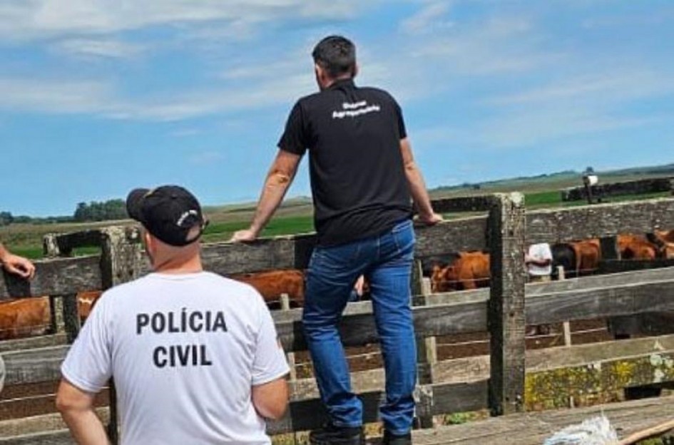 A imagem mostra duas pessoas observando um rebanho de gado em um curral de madeira. O homem em primeiro plano, de costas para a câmera, usa uma camiseta branca com a inscrição "POLÍCIA CIVIL" em letras pretas. Ele usa um boné preto. O outro homem, à sua frente e ligeiramente à direita, veste uma camiseta preta com uma inscrição em branco nas costas e jeans azul. Ele está de pé, apoiado na cerca do curral, observando os bois marrons e brancos que estão no cercado. O fundo mostra um campo aberto com céu azul.