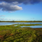 Fotografia de uma paisagem natural com um lago ao centro, de águas calmas e azuladas. À frente, há uma área de vegetação rasteira verde, parcialmente alagada, formando pequenos espelhos d’água. Ao fundo, vê-se uma linha de árvores e colinas baixas. O céu está predominantemente azul, com nuvens esparsas, incluindo algumas maiores e mais escuras no canto superior da imagem. A cena transmite tranquilidade e sensação de contato com a natureza.