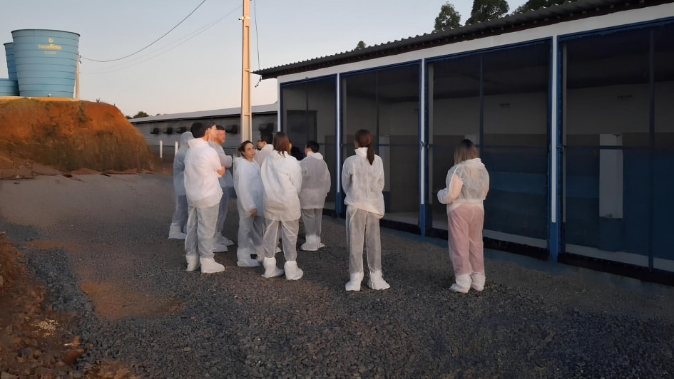 A imagem mostra um grupo de pessoas vestindo roupas de proteção brancas, conhecidas como EPIs (Equipamentos de Proteção Individual), incluindo toucas, macacões e protetores para os pés. Elas estão reunidas em frente a uma estrutura com portas de tela azul, que parece ser parte de um complexo agroindustrial ou uma instalação de produção animal. O ambiente externo tem piso de cascalho e há um pequeno barranco com solo avermelhado à esquerda. Ao fundo, são visíveis dois grandes reservatórios cilíndricos azuis com inscrições, situados sobre uma elevação. Também é possível ver postes de energia e árvores na parte superior direita da imagem. A luz do sol sugere que a foto foi tirada ao amanhecer ou entardecer.