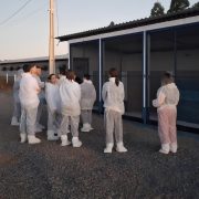 A imagem mostra um grupo de pessoas vestindo roupas de proteção brancas, conhecidas como EPIs (Equipamentos de Proteção Individual), incluindo toucas, macacões e protetores para os pés. Elas estão reunidas em frente a uma estrutura com portas de tela azul, que parece ser parte de um complexo agroindustrial ou uma instalação de produção animal. O ambiente externo tem piso de cascalho e há um pequeno barranco com solo avermelhado à esquerda. Ao fundo, são visíveis dois grandes reservatórios cilíndricos azuis com inscrições, situados sobre uma elevação. Também é possível ver postes de energia e árvores na parte superior direita da imagem. A luz do sol sugere que a foto foi tirada ao amanhecer ou entardecer.