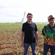 A foto mostra duas pessoas em pé sobre um campo agrícola com solo avermelhado e plantas jovens alinhadas em fileiras. Ao fundo, há um equipamento de irrigação do tipo pivô central, com estrutura metálica longa e aspersores pendurados.