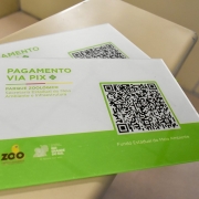 Imagem mostra cartelas impressas com a frase "pagamento via Pix" e um QR Code pelo qual visitantes acessarão os protocolos de pagamento em seus aplicativos bancários.