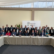 Uma fotografia de um grupo de aproximadamente 28 pessoas, posando juntas em torno de uma grande mesa de conferência em formato de U em um evento interno.

Pessoas: O grupo inclui homens e mulheres de diversas etnias. Eles estão vestidos em trajes de negócios, variando de ternos completos a blazers e camisas sociais, e estão em pé ou sentados, olhando para a câmera.

Arranjo: A maioria das pessoas está posicionada atrás da mesa. Há uma fila de pessoas sentadas na parte frontal externa da mesa e uma segunda fila em pé atrás delas.

Fundo: O fundo é uma parede bege clara. No centro, há uma grande placa ou banner vertical branco com o logotipo e o texto "COP30 LOCAL LEADERS FORUM" em letras pretas e azuis. Abaixo do título principal, há logotipos de vários patrocinadores ou organizações, incluindo o Brasil. A iluminação é brilhante, sugerindo um ambiente interno bem iluminado ou uma tenda.

Mesa: A mesa é coberta com um pano de mesa escuro e tem pequenos painéis de identificação brancos, garrafas de água e materiais de conferência espalhados sobre ela.