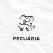 Pecu&aacute;ria