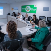 Secretária Arita Bergmann em reunião sobre o SUS Gaúcho.