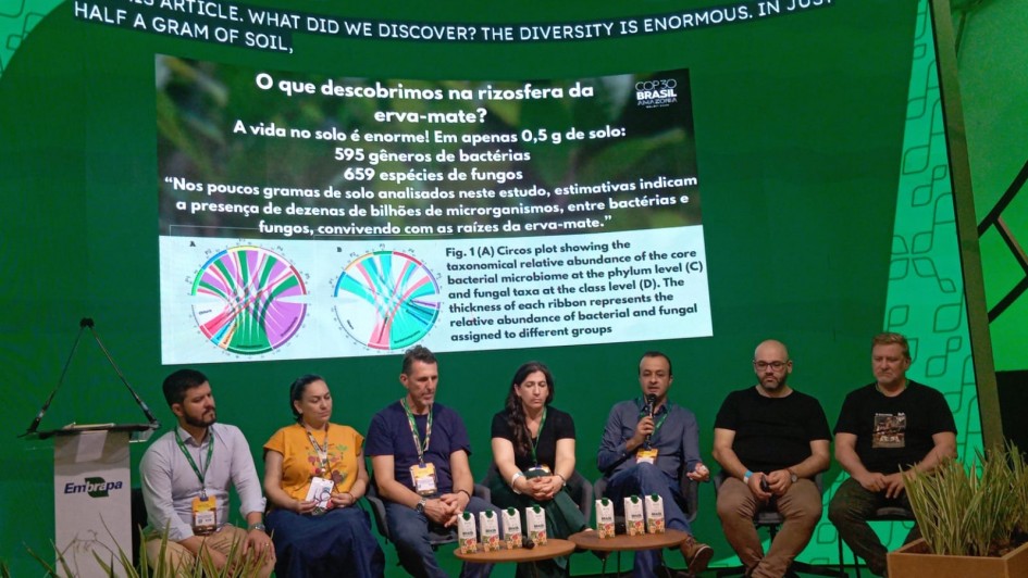 Uma foto de uma obra de pavimentação asfáltica em uma estrada rural (rodovia entre Carazinho e Chapada). A imagem mostra o terreno acidentado com terra vermelha brilhante ocupando a maior parte do primeiro plano, indicando um extenso trabalho de terraplanagem.

No centro da estrada, uma motoniveladora ou patrol amarela está parada, de frente para o fundo da imagem. A estrada, ainda de terra, foi recentemente nivelada e se estende em linha reta até o horizonte em uma subida suave.

Os canteiros laterais são compostos por taludes altos e inclinados de terra vermelha intensa. Ao longe, no topo da colina, é possível ver um carro branco. A paisagem de fundo, no horizonte, é composta por campos agrícolas (um campo amarelo-claro de plantação colhida à esquerda e um campo verde de plantação à direita) sob um céu azul-claro com nuvens brancas e dispersas.
