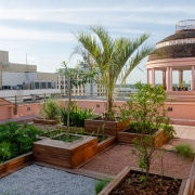 Foto mostra jardim da Casa de Cultura Mario Quintana