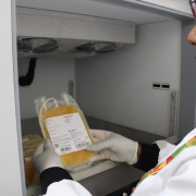 Uma foto de um homem em pé em um salão de conferências (possivelmente Gabriel Souza), no canto esquerdo, discursando em um evento de lançamento de concessão. Ele veste um blazer escuro, camisa branca e calças cáqui claras, e gesticula em direção a uma tela de LED grande e escura que ocupa a parede à esquerda.

A tela exibe texto em letras amarelas e brancas, com a palavra "escola" e a frase "é agora" parcialmente visíveis, indicando o tema da apresentação.

No centro e à direita, há uma audiência de cerca de 15 pessoas, sentadas em cadeiras e poltronas, assistindo à apresentação. Alguns fotógrafos e cinegrafistas estão de pé na parte de trás da sala. Em primeiro plano, uma pequena mesa redonda preta contém copos d'água e crachás. O ambiente é moderno, com iluminação de trilhos e grandes janelas horizontais que oferecem vista para uma área externa com árvores e edifícios. A cena sugere o lançamento da concessão do serviço de bilhetagem eletrônica do transporte metropolitano.