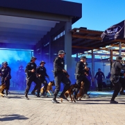 A imagem mostra policiais penais fardados em movimento com cães de serviço. Eles estão ao ar livre embaixo de uma estrutura vazada. 