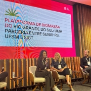 A imagem mostra quatro palestrantes (duas mulheres e dois homens) sentados em um palco, diante de um painel nas cores branca e rosa. No painel está escrito: "Plataforma de biomassa do Rio Grande do Sul: uma parceria entre Senai-RS, UFSM e Sict".