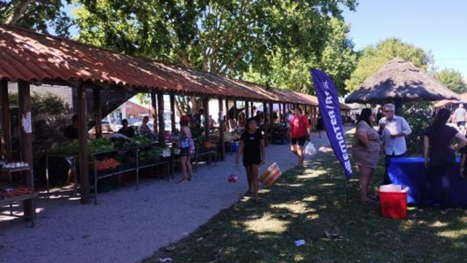 A fotografia retrata uma feira ao ar livre em um dia ensolarado, com diversas pessoas circulando entre bancas de produtos frescos.

Detalhes da Feira
Estrutura: Uma constru&ccedil;&atilde;o longa e r&uacute;stica, composta por pilares de madeira e um telhado de telhas de barro, abriga as bancas dos produtores.

Produtos: Nas bancas sob a sombra, &eacute; poss&iacute;vel ver uma variedade de hortali&ccedil;as verdes, como alfaces, e outros vegetais coloridos dispostos para a venda.

Movimenta&ccedil;&atilde;o: O ch&atilde;o &eacute; coberto por cascalho claro, formando um corredor central por onde os visitantes caminham.

Ambiente e Elementos Adicionais
Vegeta&ccedil;&atilde;o: Grandes &aacute;rvores frondosas cercam o local, projetando sombras densas sobre a &aacute;rea da feira.

Identifica&ccedil;&atilde;o: Do lado direito da imagem, destaca-se uma bandeira vertical (wind banner) na cor azul com a inscri&ccedil;&atilde;o branca "EMATER/RS".

Constru&ccedil;&otilde;es: Ao fundo, &agrave; direita, observa-se um quiosque redondo com telhado de palha (estilo sap&ecirc;).

Pessoas: Diversos frequentadores, usando roupas leves de ver&atilde;o, s&atilde;o vistos caminhando, conversando ou observando os produtos.

Contexto
Conforme o t&iacute;tulo do arquivo, a cena registra a Feira do Produtor e oficinas que integram a Opera&ccedil;&atilde;o Ver&atilde;o no Litoral Sul, uma iniciativa que aproxima a produ&ccedil;&atilde;o regional dos veranistas.