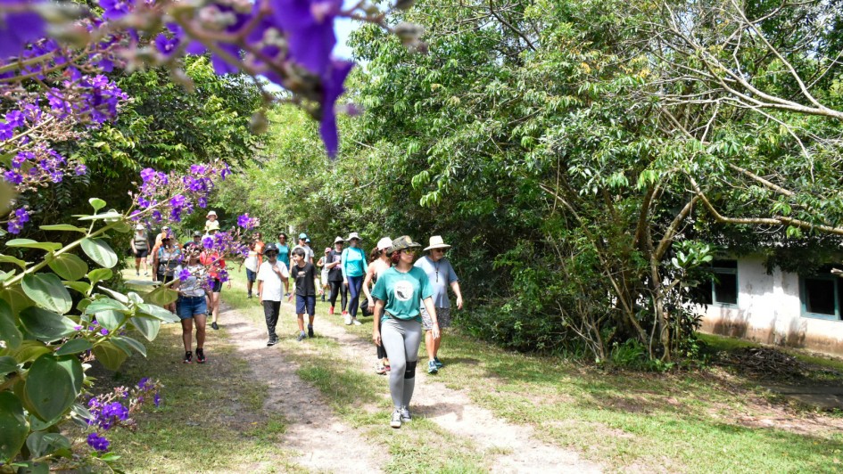 Esta &eacute; uma descri&ccedil;&atilde;o da imagem para fins de acessibilidade:

A fotografia registra uma caminhada guiada em meio &agrave; natureza, capturando um grupo de pessoas em uma trilha ladeada por vegeta&ccedil;&atilde;o densa.

Detalhes da Cena
Primeiro Plano: No canto superior e lateral esquerda, h&aacute; um belo arranjo de flores roxas vibrantes (possivelmente Manac&aacute;-da-serra) propositalmente desfocadas, que servem como uma moldura natural para a foto.

Grupo de Pessoas: No centro da imagem, cerca de 15 a 20 pessoas de diversas idades caminham por uma trilha de terra clara. &Agrave; frente do grupo, destaca-se uma mulher usando uma camiseta verde, cal&ccedil;a legging cinza, &oacute;culos escuros e um chap&eacute;u de trilha. Os demais participantes vestem roupas leves e esportivas, adequadas para a atividade ao ar livre.

Ambiente e Vegeta&ccedil;&atilde;o: O caminho &eacute; cercado por &aacute;rvores frondosas e arbustos verdes, criando um corredor natural sombreado. Do lado direito, ao fundo, &eacute; poss&iacute;vel ver parte de uma constru&ccedil;&atilde;o branca de um &uacute;nico pavimento com janelas de molduras escuras.

Ilumina&ccedil;&atilde;o: A luz &eacute; de um dia claro e ensolarado, com raios de sol filtrados pelas copas das &aacute;rvores, criando um jogo de luz e sombra no ch&atilde;o da trilha.

Contexto
De acordo com o t&iacute;tulo do arquivo, a imagem ilustra as a&ccedil;&otilde;es de educa&ccedil;&atilde;o ambiental, esporte e lazer promovidas pelo Governo do Estado em Torres, como parte da programa&ccedil;&atilde;o da Opera&ccedil;&atilde;o Ver&atilde;o.