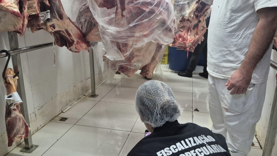 Foto em ambiente fechado de um agente de costas, com camiseta preta na qual est&aacute; escrita Fiscaliza&ccedil;&atilde;o Agropecu&aacute;ria, agachado e tirando foto com o celular. Ele/ela est&aacute; voltado para peda&ccedil;os de carne crua pendurados, no que parece ser o estoque de um restaurante ou bar.