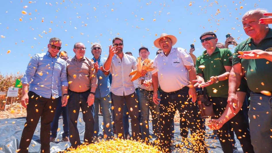 Governador Eduardo Leite est&aacute; no centro de um grupo de homens, num cen&aacute;rio aberto de sol forte, em que eles atiram milho para cima. Os gr&atilde;os aparecem no ar e tamb&eacute;m num monte em frente deles. 