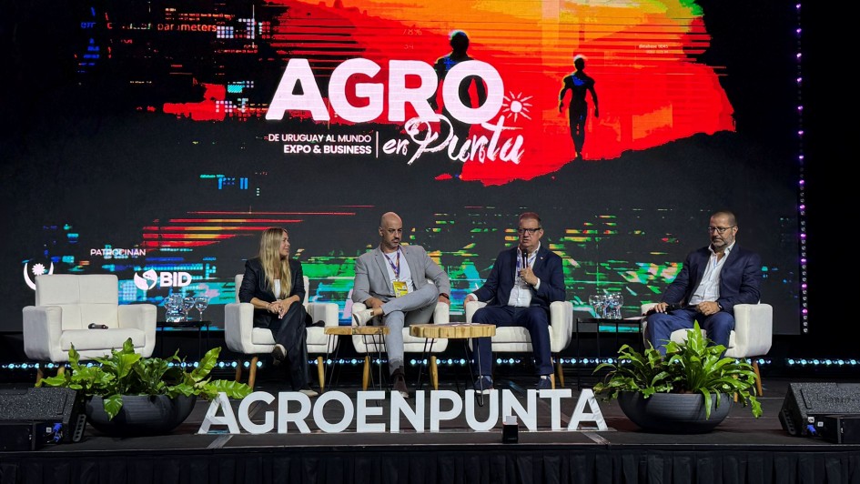 Secret&aacute;rio Edivilson Brum no palco da Agro en Punta com outros debatedores.