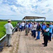Dia de Campo do Irga em Camaqu&atilde; 