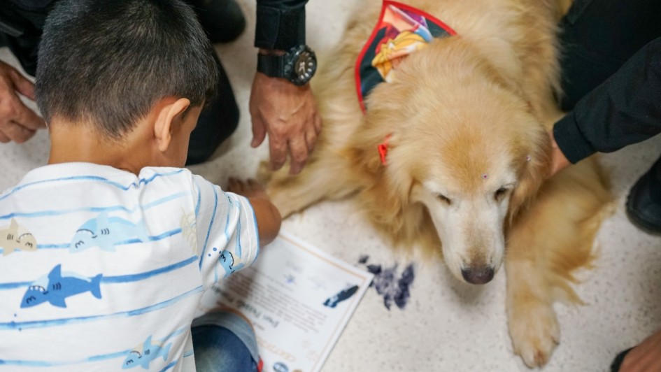 A imagem mostra um c&atilde;o Golden Retriever deitado no ch&atilde;o, usando um len&ccedil;o vermelho decorativo no pesco&ccedil;o. Uma crian&ccedil;a interage com o animal, segurando uma folha impressa pr&oacute;xima &agrave;s patas do cachorro. Duas m&atilde;os adultas tamb&eacute;m aparecem na cena, demonstrando apoio e cuidado, enquanto o c&atilde;o permanece calmo e atento.