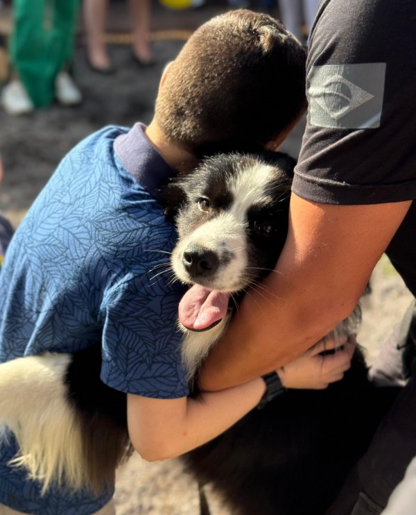 A foto captura um momento de carinho entre uma criança e um cão de pelagem preta e branca. A criança abraça o animal, enquanto um adulto, usando uniforme escuro com um símbolo no braço, auxilia apoiando o cachorro. O cão aparece tranquilo relaxado e com a língua para fora. 