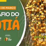 Ilustra&ccedil;&atilde;o da a&ccedil;&atilde;o Desafio do Buti&aacute;