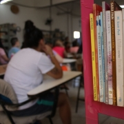 Foto mostra em primeiro plano livros numa estante e num segundo plano ao fundo uma sala de aula onde h&aacute; uma silhueta de uma mulher sentada numa classe de sala de aula. 