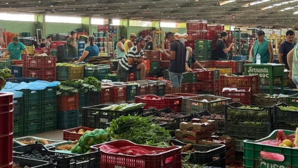 Ceasa   mar de 2026   Mateus Ribas Ascom SDR