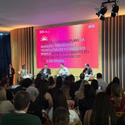 Foto de atividade painel &ldquo;Construindo o futuro da avia&ccedil;&atilde;o: tend&ecirc;ncias tecnol&oacute;gicas e caminhos para o desenvolvimento do setor no Rio Grande do Sul e no Brasil&rdquo;, realizado na sexta-feira (27/3), no South Summit Brazil